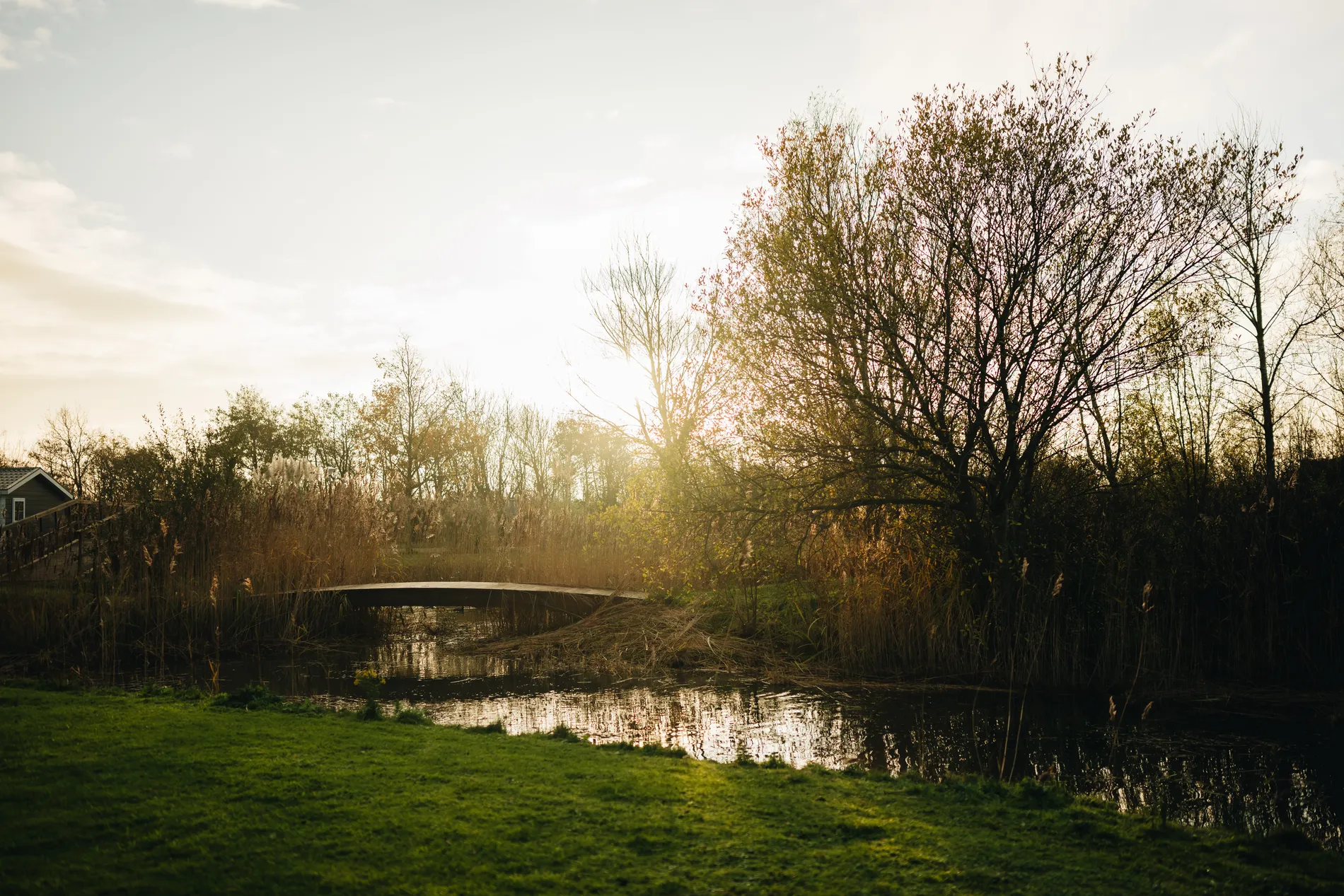 Sfeervol tegenlicht van de laagstaande zon boven een vijver en een houten voetbruggetje bij Resort Land & Zee in Scharendijke.
